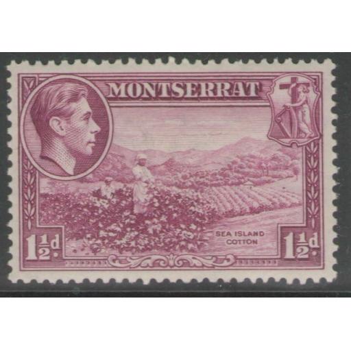 MONTSERRAT SG103 1938 1½d PURPLE p13 MTD MINT