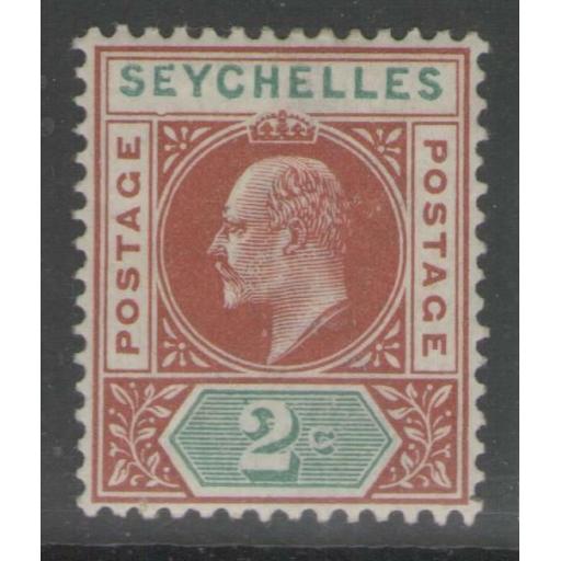 seychelles-sg46a-1903-2c-chestnut-green-dented-frame-mtd-mint-715634-p.jpg