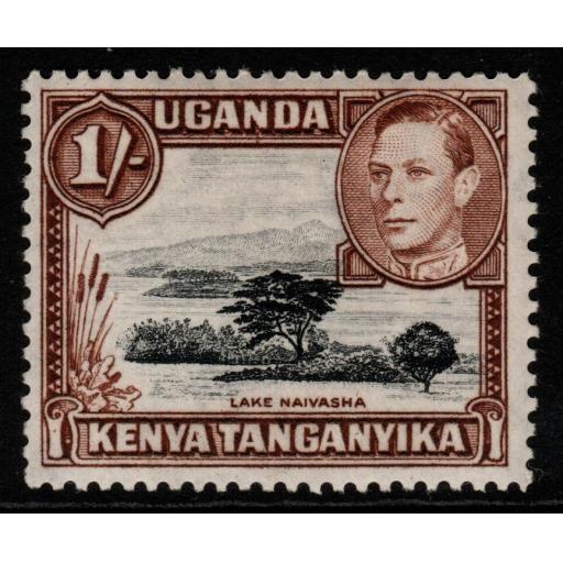 KENYA, UGANDA & TANGANYIKA SG145b 1949 1/= BLACK & BROWN p13x12½ MTD MINT