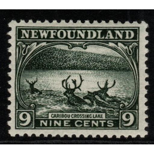 NEWFOUNDLAND SG156 1923 9c SLATE-GREEN MTD MINT