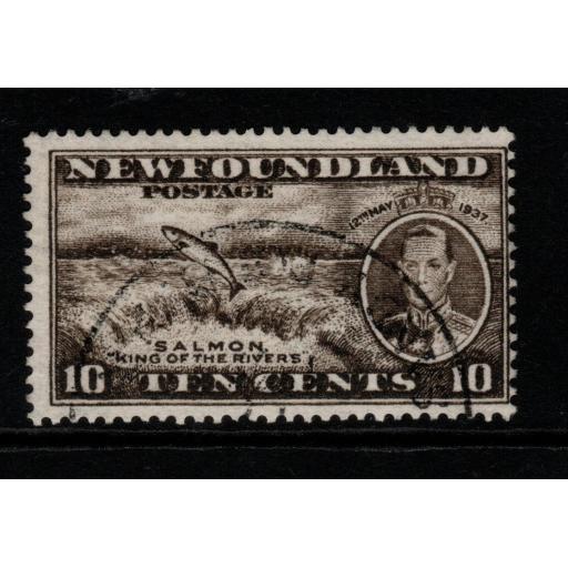 NEWFOUNDLAND SG261c 1937 10c BLACKISH BROWN p13 FINE USED