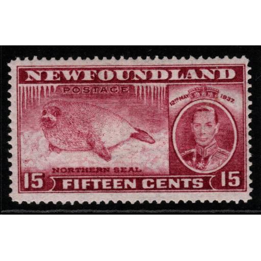 NEWFOUNDLAND SG263c 1937 15c CLARET p13½ MTD MINT